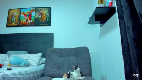 Snapshot of iam_your_fantasy chatting on February 2026 09:13:01 PM iam_your_fantasy online show from February 2026 09:13:01 PM