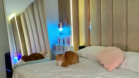 Nyxy online show from November 2025 09:09:01 AM