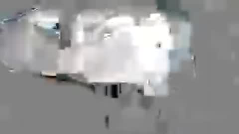 Pat online show from July 2026 10:17:02 AM