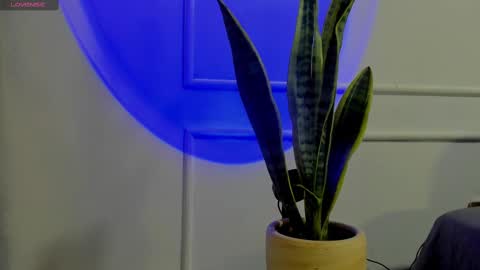 Snapshot of ice_princess__ chatting on October 2025 04:41:02 AM Crystall online show from October 2025 04:41:02 AM