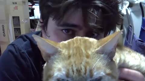 Snapshot of idkwhattowatch chatting on December 2024 12:33:01 AM idkwhattowatch online show from December 2024 12:33:01 AM