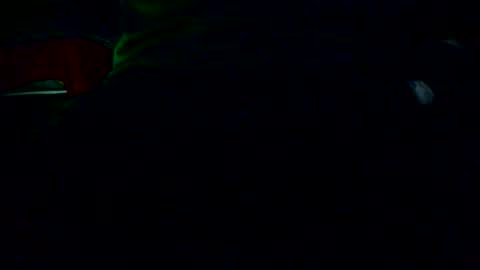 Snapshot of ifanta chatting on December 2025 02:21:01 AM Nicolas online show from December 2025 02:21:01 AM