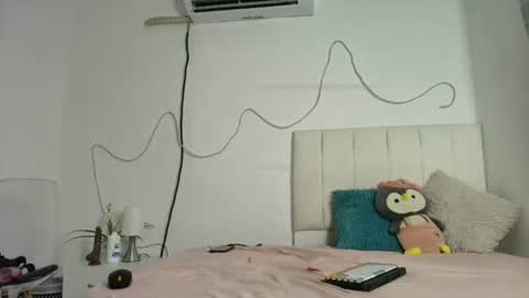 Snapshot of iimsara chatting on February 2026 06:45:01 PM iimsara online show from February 2026 06:45:01 PM