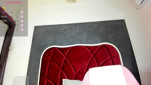 Snapshot of illegal_lorry chatting on January 2025 10:53:02 AM illegal_lorry online show from January 2025 10:53:02 AM