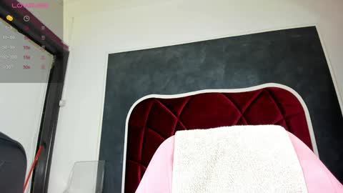 Snapshot of illegal_lorry chatting on January 2025 05:30:01 AM illegal_lorry online show from January 2025 05:30:01 AM