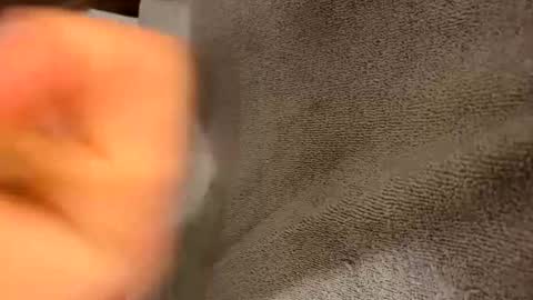 Snapshot of iltjoal69 chatting on March 2025 10:33:02 AM iltjoal69 online show from March 2025 10:33:02 AM