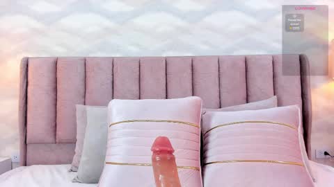 Snapshot of im_nika_ chatting on February 2025 03:46:01 PM Nika online show from February 2025 03:46:01 PM