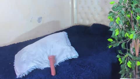 Snapshot of im_sebaslopez chatting on April 2026 06:10:01 PM im_sebaslopez online show from April 2026 06:10:01 PM
