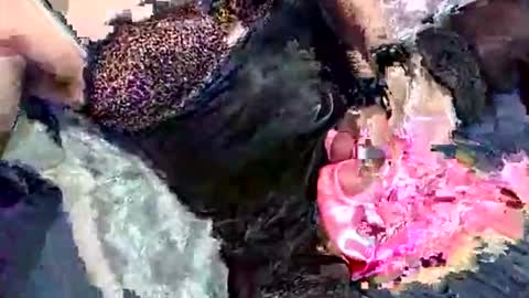 Snapshot of imabigolperv chatting on March 2026 02:03:01 AM imabigolperv online show from March 2026 02:03:01 AM