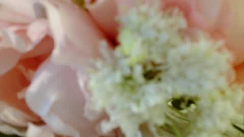 Carrie online show from March 2025 04:35:01 PM