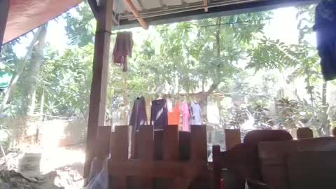 Immaculate02 online show from February 2025 04:46:01 AM