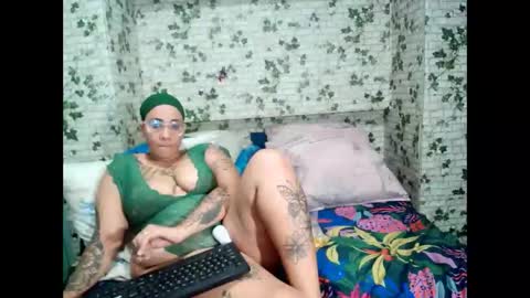 Candy cat online show from April 2026 05:17:01 PM