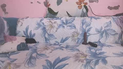 Parul online show from February 2026 10:47:01 AM