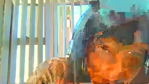 rani online show from July 2026 06:32:01 AM