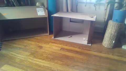 Snapshot of indigo_scorpio chatting on February 2025 05:51:02 PM indigo_scorpio online show from February 2025 05:51:02 PM