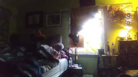 Snapshot of indigo_scorpio chatting on February 2025 10:11:01 PM indigo_scorpio online show from February 2025 10:11:01 PM