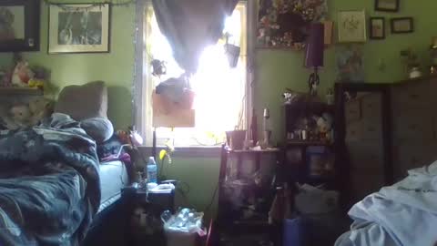 Snapshot of indigo_scorpio chatting on February 2025 06:59:01 PM indigo_scorpio online show from February 2025 06:59:01 PM