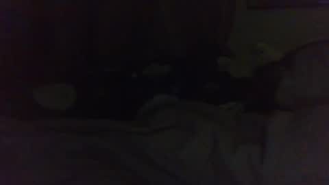 Snapshot of indigo_scorpio chatting on February 2025 11:24:02 AM indigo_scorpio online show from February 2025 11:24:02 AM