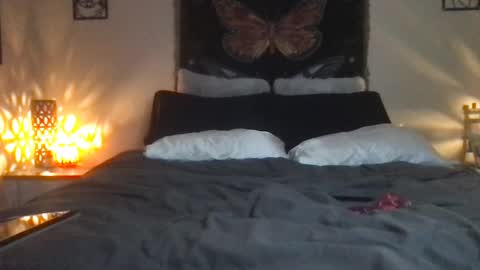 Indigo Bay online show from February 2025 07:26:01 AM