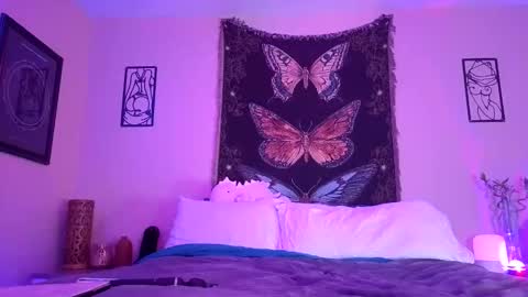 Indigo Bay online show from January 2026 02:26:02 AM