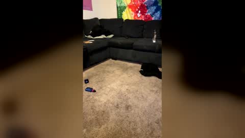 Snapshot of infamouslibby chatting on February 2026 10:18:01 AM InfamousLibby Linktree online show from February 2026 10:18:01 AM