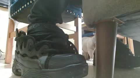 inmortal lamb online show from October 2025 06:51:02 PM