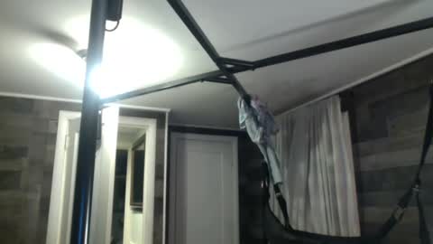 InMyBackyard online show from January 2025 10:06:01 PM