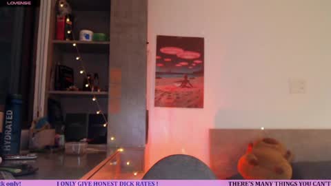 Snapshot of inthewildxxx chatting on July 2026 02:05:02 PM Cassie online show from July 2026 02:05:02 PM