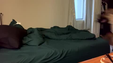 IntoTheWoodsWeGo online show from March 2026 10:28:02 PM