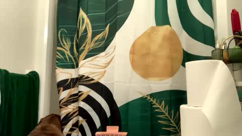 IntoTheWoodsWeGo online show from April 2026 08:51:01 PM