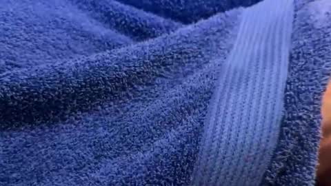 Snapshot of intressiert chatting on December 2024 01:25:01 PM intressiert online show from December 2024 01:25:01 PM