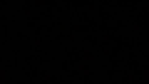 iridisit online show from July 2026 08:55:02 PM