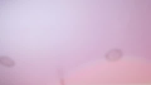 Snapshot of iris_joi chatting on February 2026 03:02:02 AM Iirs online show from February 2026 03:02:02 AM