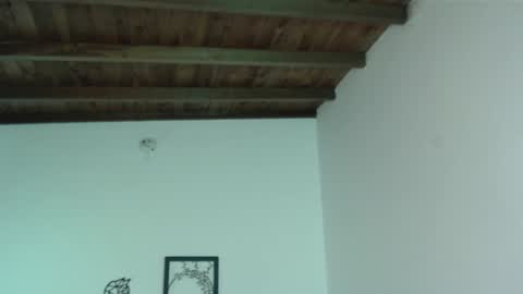 Snapshot of irisvelez chatting on January 2025 06:06:01 PM Iris online show from January 2025 06:06:01 PM