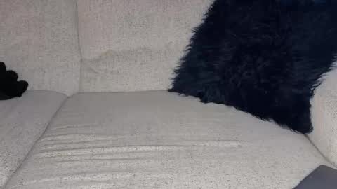 Snapshot of isocialmedia chatting on February 2026 12:15:02 PM isocialmedia online show from February 2026 12:15:02 PM