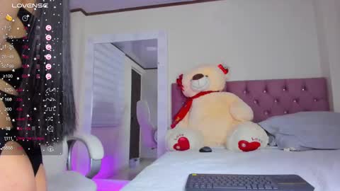 Snapshot of issabellarodriguez chatting on February 2025 07:47:02 AM Isa online show from February 2025 07:47:02 AM