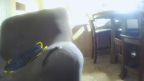 italythick online show from July 2026 12:56:02 AM