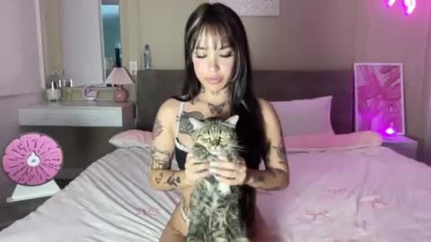 helltai online show from July 2026 03:37:01 AM