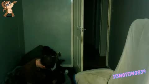    online show from September 2025 09:03:02 PM