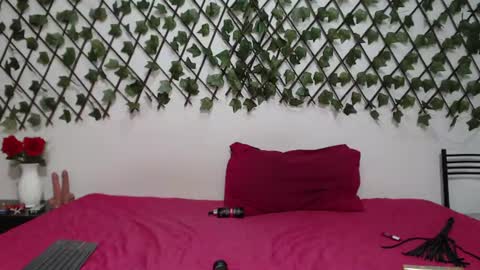 iivycarrter online show from June 2026 03:31:02 AM