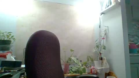 ivyjane3522 online show from May 2026 02:00:01 PM