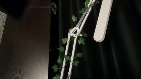 ivyvibe online show from February 2026 03:37:02 PM