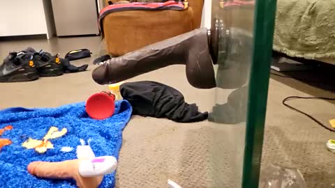 j220231 online show from December 2025 12:25:01 PM