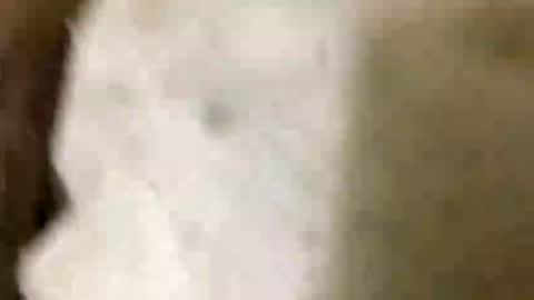 Snapshot of jaaltar chatting on January 2026 07:05:02 PM Jaaltar online show from January 2026 07:05:02 PM