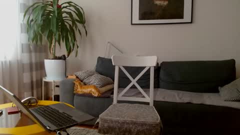 jacek___1 online show from February 2026 09:09:02 AM