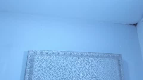 Snapshot of jackblanco_ chatting on January 2025 04:02:01 AM Jack White online show from January 2025 04:02:01 AM