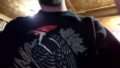 Snapshot of jackboys16 chatting on January 2025 02:49:01 AM Dess online show from January 2025 02:49:01 AM