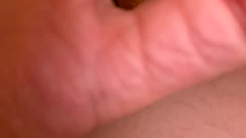 jackjackerman online show from June 2026 12:38:01 AM