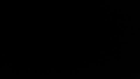 jacksonp41 online show from May 2026 11:11:02 PM