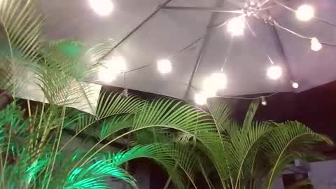 jacobdraven online show from December 2025 03:26:02 AM